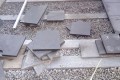 IMG_20201114_084159_3.jpg