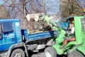 das Stammholz wird aufgeladen.jpg