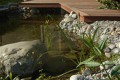 Gartengestaltung_04.jpg