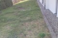 ein in die Jahre gekommener Garten soll erneuert werden.jpg