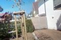 Die neue Terrasse ist fertig.jpg
