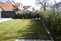 die Kirschlorbeerhecke ist auch schon gepflanzt.jpg