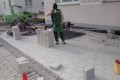 IMG_20201116_124259_1.jpg