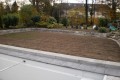 PICT0056.JPG
